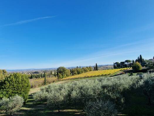 Bauernhaus zum Kauf 490.000 € 8 Zimmer 330 m² 53.000 m² Grundstück Montepulciano