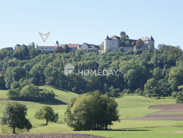 Mehrfamilienhaus zum Kauf 850.000 € 10 Zimmer 442 m² 1.066 m² Grundstück Waldenburg Waldenburg 74638
