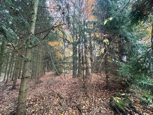 Land-/Forstwirtschaft zum Kauf 69.000 € 9.730 m² Grundstück Babensham Babensham / Oberbierwang 83547