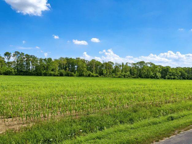 Landwirtschaftliche Fläche zum Kauf 361.725 € 27.825 m² Grundstück Beckum Beckum 59269