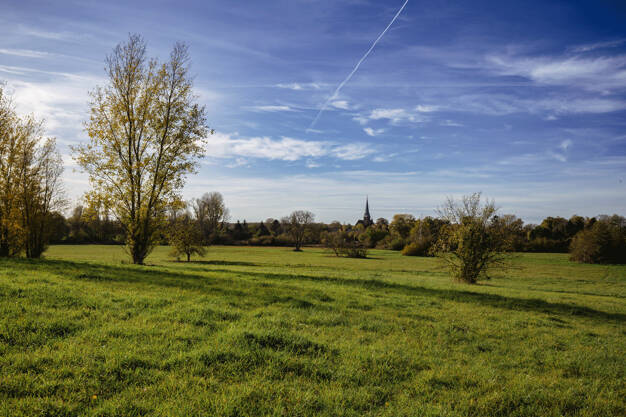 Grundstück zum Kauf 297.000 € 450 m² Grundstück Geltow Geltow 14548