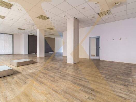 Ladenfläche zur Miete Waldegg Linz 4020