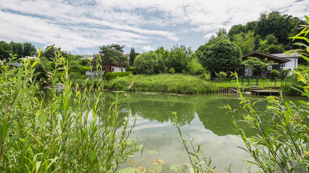 Grundstück zum Kauf 595.000 € 535 m² Grundstück Seekirchen am Wallersee 5201