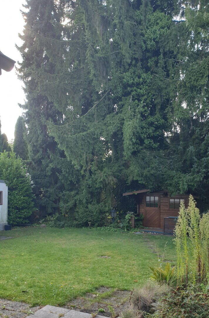 Einfamilienhaus zum Kauf - Ansicht 6