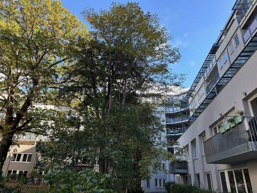 Wohnung zur Miete 781 € 1,5 Zimmer 41,4 m² 1. Geschoss frei ab 01.03.2026 Wien 1020