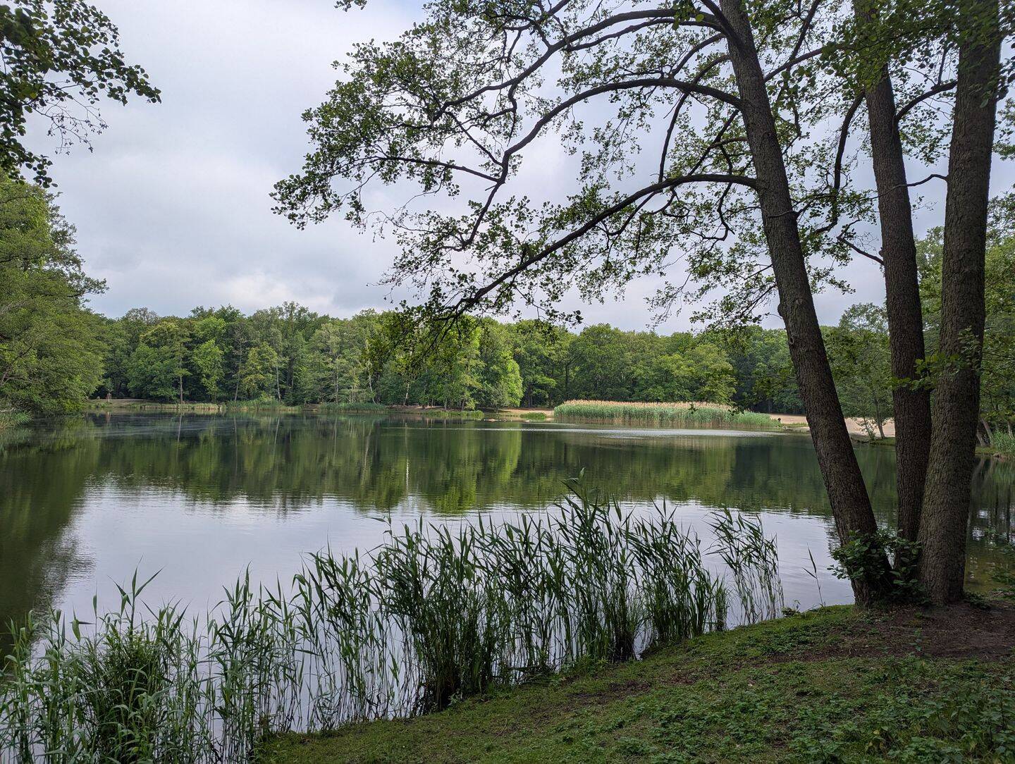 Property thumbnail 7