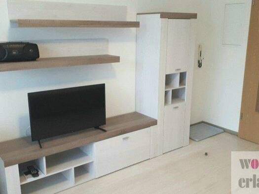 Wohnung zur Miete Wohnen auf Zeit 650 € 1 Zimmer 26 m² frei ab sofort Bruck Erlangen 91058