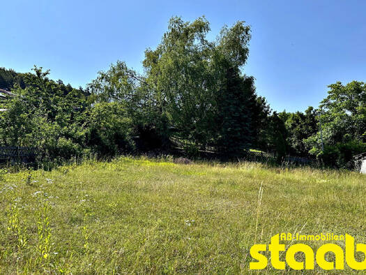 Grundstück zum Kauf 315.000 € 1.225 m² Grundstück Mömlingen 63853