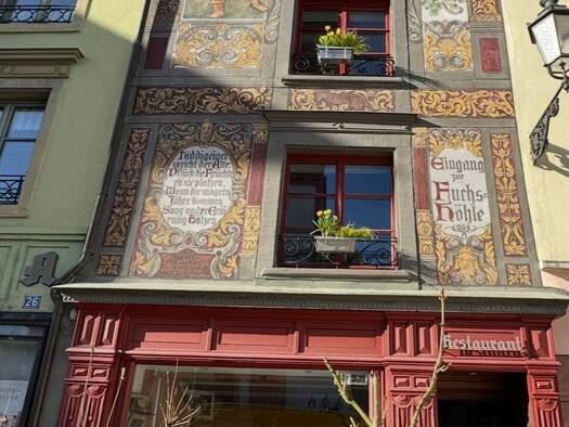 Stadthaus zum Kauf provisionsfrei 1.111.111 € 10 Zimmer 450 m² Bad Säckingen 79713