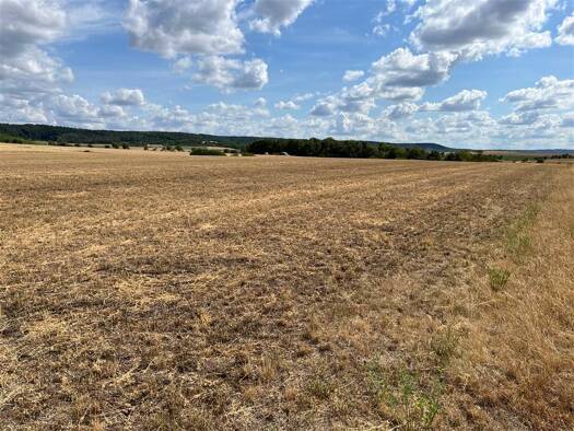 Landwirtschaftliche Fläche zum Kauf 690.000 € 66.000 m² Grundstück Burg Hoheneck Ipsheim 91472