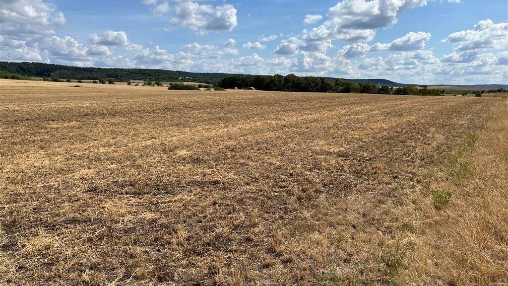 Landwirtschaftliche Fläche zum Kauf 690.000 € 66.000 m² Grundstück Burg Hoheneck Ipsheim 91472
