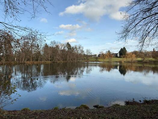 Reihenhaus zum Kauf provisionsfrei 648.000 € 8 Zimmer 190 m² 300 m² Grundstück Heiligkreuz Trier 54295