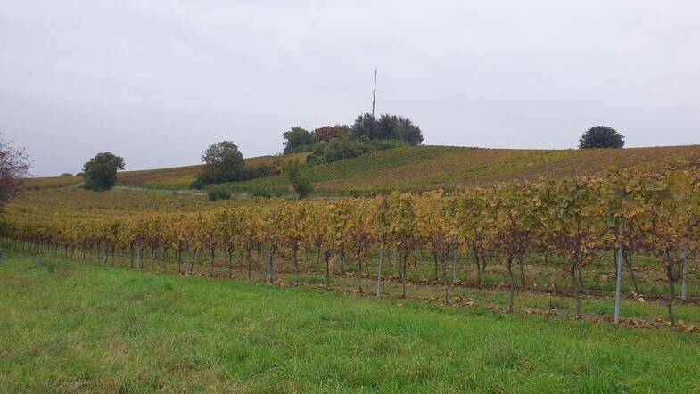 Grundstück zum Kauf provisionsfrei 297.720 € 827 m² Grundstück Am Kirchberg 16 Hackenheim Hackenheim 55546