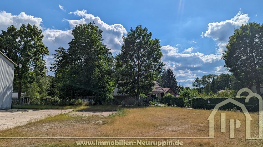 Grundstück zum Kauf 99.000 € 1.050 m²<br/>Grundstück Rheinsberg Rheinsberg 16831