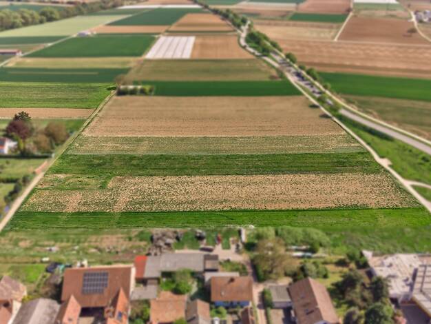 Grundstück zum Kauf 537 m² Grundstück Hochstadt Hochstadt (Pfalz) 76879