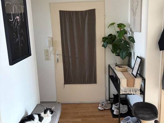 Wohnung zur Miete 550 € 2 Zimmer 80 m² 1. Geschoss frei ab 01.01.2027 Moritz-Werner-Straße 3 Eschwege Eschwege 37269