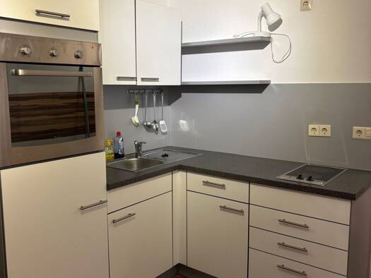 Wohnung zur Miete 510 € 1 Zimmer 27 m² Geschoss 1/4 frei ab sofort Petershausen Konstanz 78467