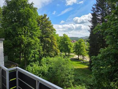 Wohnung zum Kauf 51.500 € 2 Zimmer 42,1 m² 1. Geschoss Hahnenklee Goslar 38644