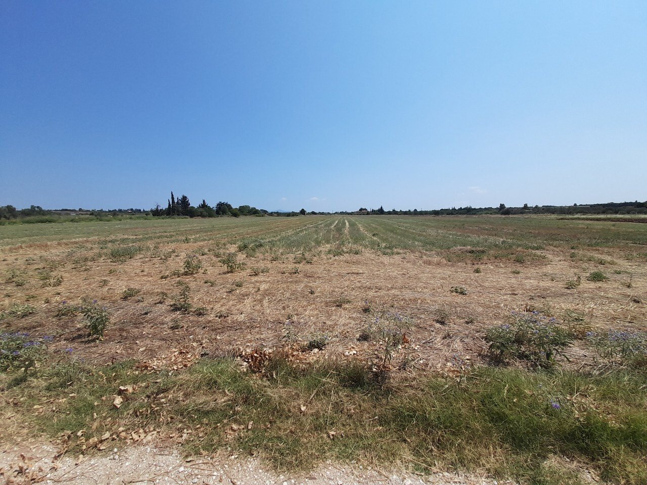 Land-/Forstwirtschaft zum Kauf 250.000 € 11.100 m²<br/>Grundstück Thessaloniki