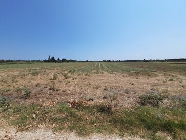 Land-/Forstwirtschaft zum Kauf 250.000 € 11.100 m² Grundstück Thessaloniki