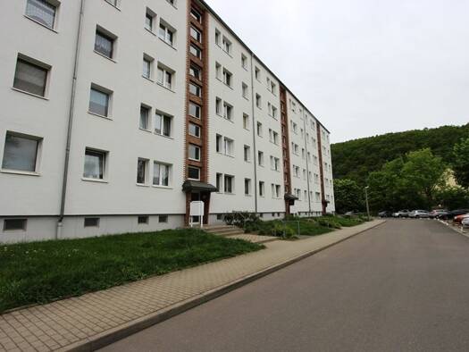Wohnung zur Miete 255 € 2 Zimmer 47,5 m² 3. Geschoss Untitzer Straße 28 b Liebschwitz Gera 07551
