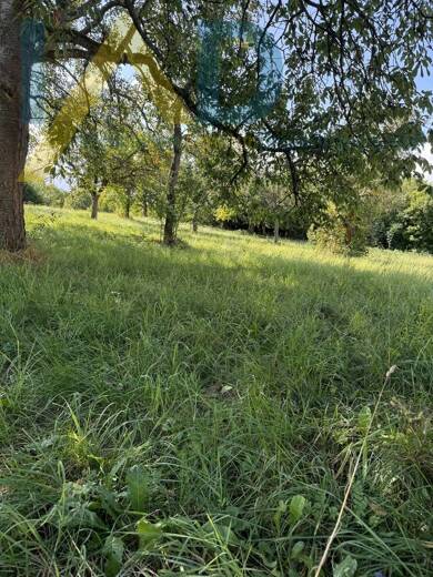 Grundstück zum Kauf 280.000 € 490 m² Grundstück Niebelsbach Keltern / Niebelsbach 75210