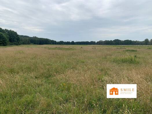 Grundstück zum Kauf 1.980.000 € 1.170.000 m² Grundstück Hohenwutzen 16259