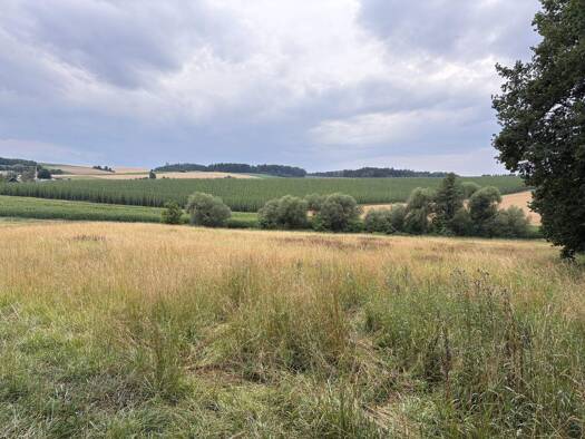 Land-/Forstwirtschaft zum Kauf 744.188 € 80.295 m² Grundstück Petersglaim Hohenthann 84098