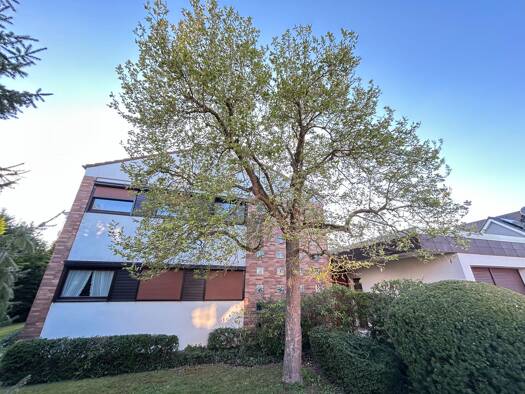 Einfamilienhaus zum Kauf 399.000 € 10 Zimmer 267 m² 889 m² Grundstück Warburg Warburg 34414