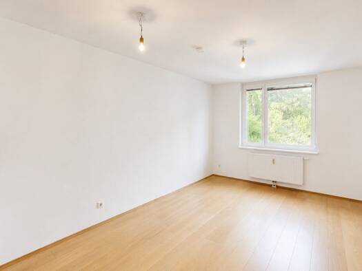 Wohnung zum Kauf 249.000 € 2 Zimmer 42,3 m² 1. Geschoss Matznergasse Penzing 1140
