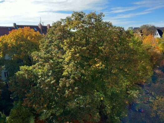 Maisonette zur Miete 2.790 € 4 Zimmer 151,3 m² Geschoss 3/4 frei ab sofort Karlshorst Berlin 10318