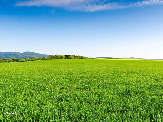 Land-/Forstwirtschaft zum Kauf 217.103 € 40.423 m² Grundstück Weiding 92557