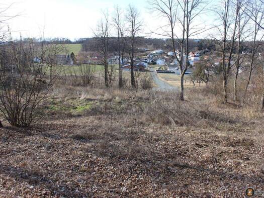 Grundstück zum Kauf 300.150 € 2.001 m² Grundstück Bad Tatzmannsdorf 7431