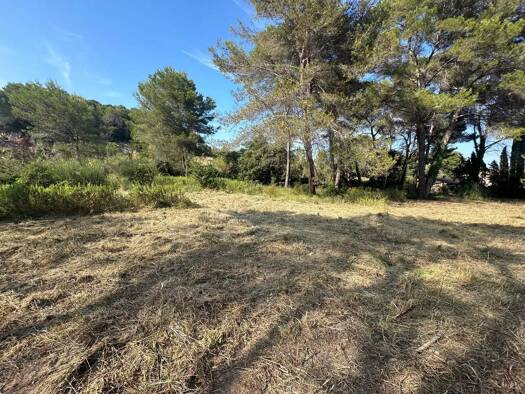 Grundstück zum Kauf 1.290.000 € 4.996 m² Grundstück Village-Le Val-Cabrieres Mougins 06250