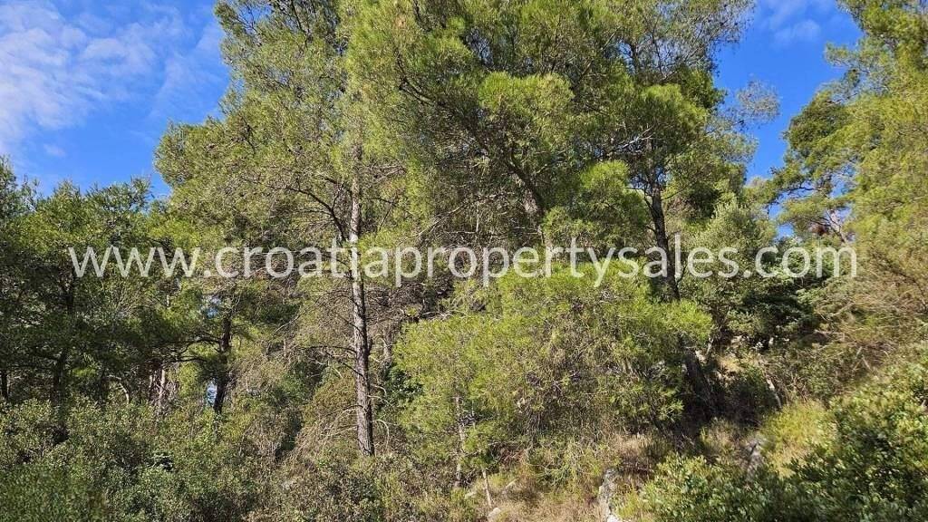 Land-/Forstwirtschaft zum Kauf 105.000 € Hvar