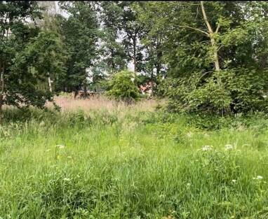 Grundstück zum Kauf 228.690 € 725 m² Grundstück Petershagen Petershagen/Eggersdorf 15370