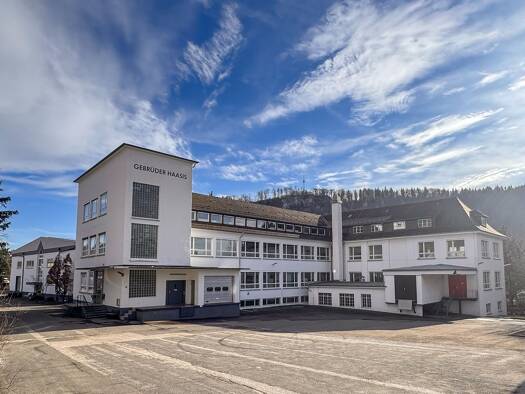 Bürofläche zur Miete provisionsfrei 1.830 m² Bürofläche teilbar ab 540 m² Sigmaringer Straße 25 Ebingen Albstadt 72458