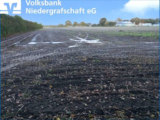 Land-/Forstwirtschaft zur Miete 37.955 m² Grundstück Itterbeck 49847