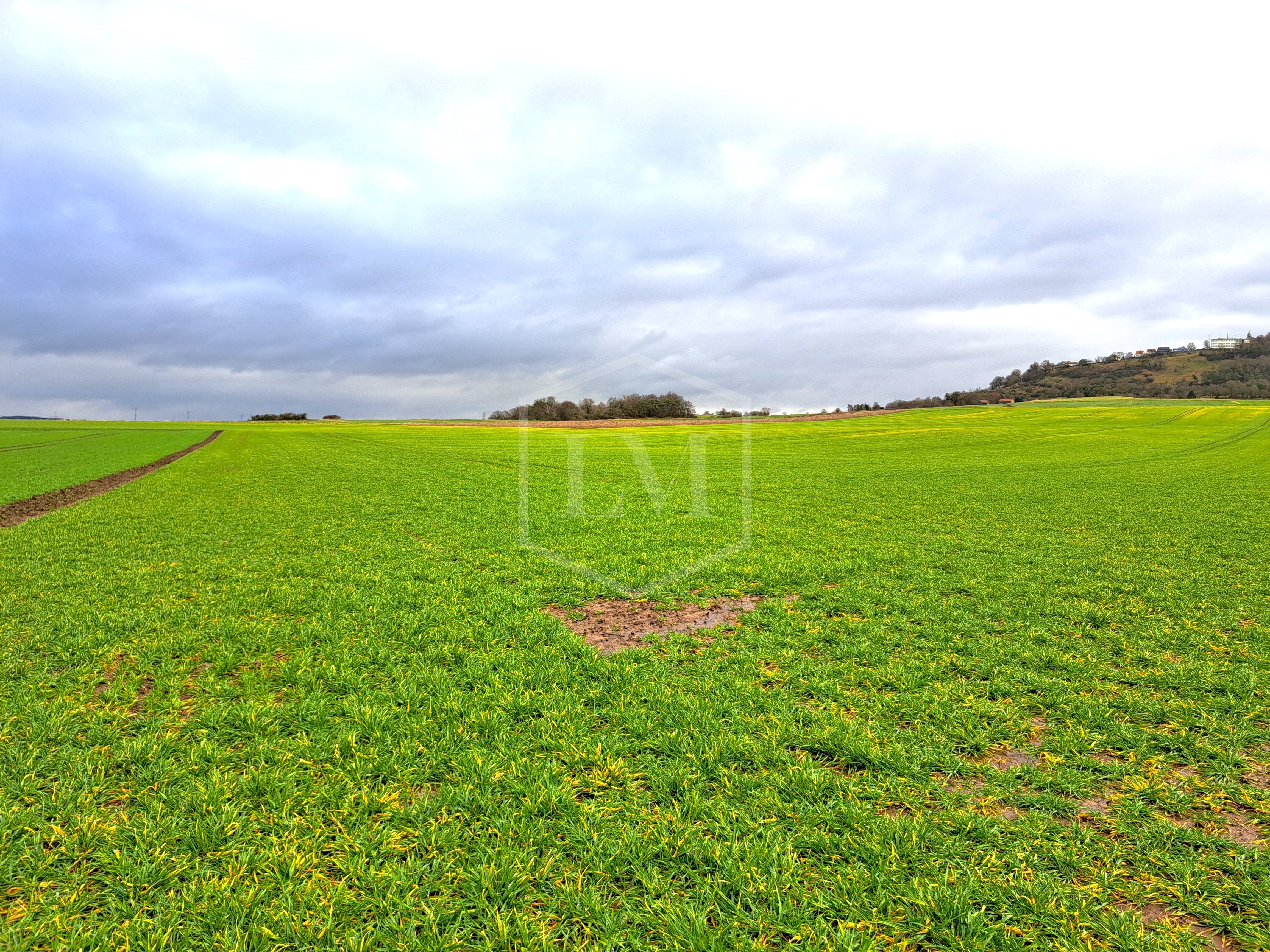 Landwirtschaftliche Fläche zum Kauf 2.800.000 € 698.254 m²<br/>Grundstück Hansenhaus Marburg 35039