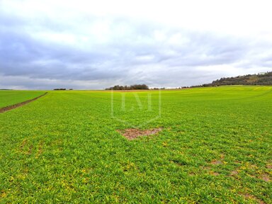 Landwirtschaftliche Fläche zum Kauf 2.800.000 € 698.254 m² Grundstück Hansenhaus Marburg 35039