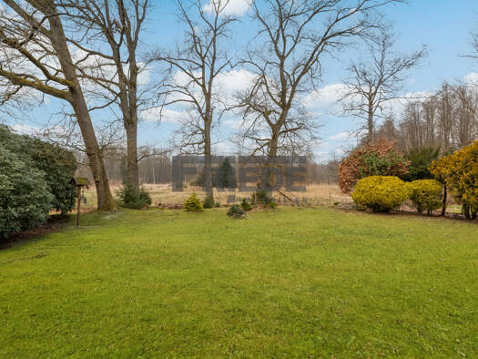 Einfamilienhaus zum Kauf 249.000 € 2 Zimmer 80,4 m² 1.334 m² Grundstück Breloh Munster / Breloh 29633