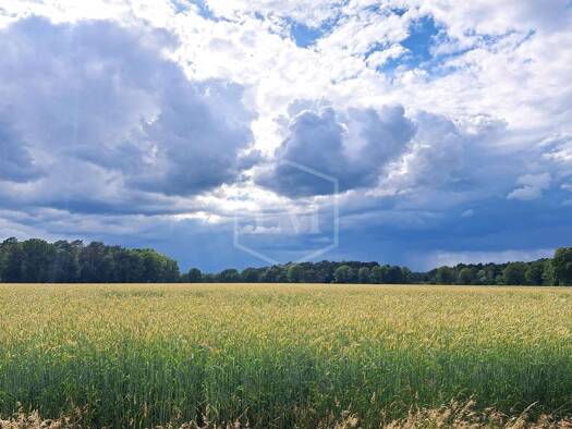 Landwirtschaftliche Fläche zum Kauf 310.000 € 62.642 m² Grundstück Auf der Horst Garbsen 30823