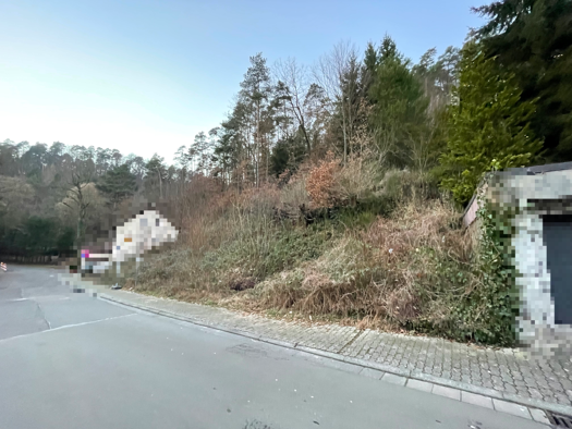 Grundstück zum Kauf 39.500 € 445 m² Grundstück Weidenthal 67475