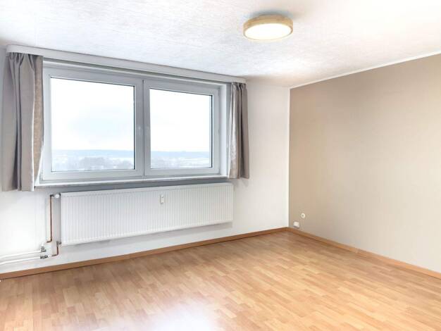 Wohnung zur Miete 545 € 2 Zimmer 46 m² 8. Geschoss Itzehoe 25524