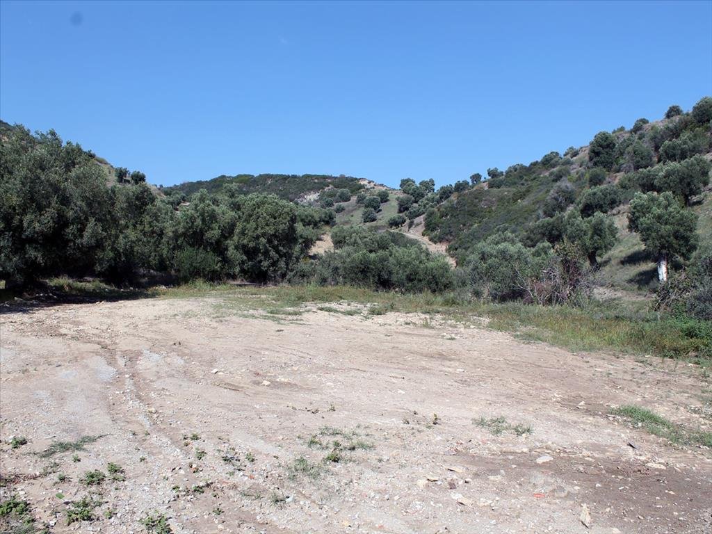 Land-/Forstwirtschaft zum Kauf 90.000 € 3.000 m²<br/>Grundstück Chalkidiki