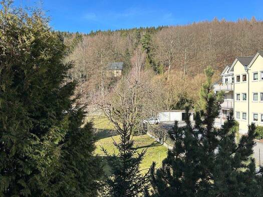 Wohnung zur Miete 450 € 2 Zimmer 69,5 m² 1. Geschoss frei ab sofort Einsiedler Hauptstraße 30 Einsiedel Chemnitz 09123