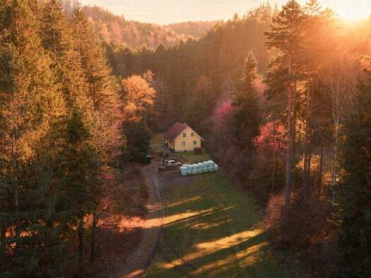 Einfamilienhaus zum Kauf 349.000 € 3 Zimmer 160 m² 1.000 m² Grundstück Warth 2831