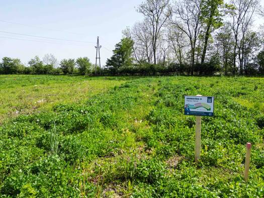 Grundstück zum Kauf 74.300 € 743 m² Grundstück frei ab sofort Altheim 4950