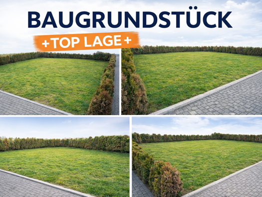 Grundstück zum Kauf 170.000 € 295 m² Grundstück Brackenheim 74336