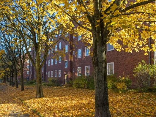 Wohnung zur Miete 529 € 2 Zimmer 51,2 m² 2. Geschoss frei ab 08.12.2025 Bothwellstraße 15 Gaarden-Ost Kiel 24143